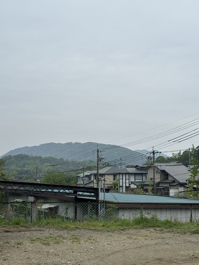 大自然、最高です🌳